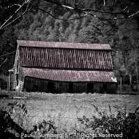 Angus Barn