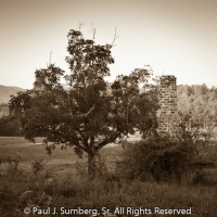 Apples and Chimney