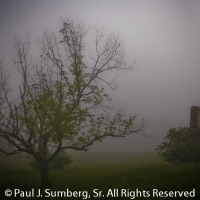 Apple Tree, Chimney and Early Morning Fog