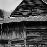 Weary Wood