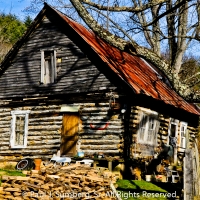 Wood pile