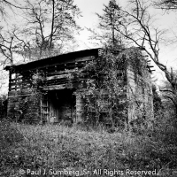 Feral Mulky Gap Barn b&w