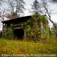 Feral Mulky Gap Barn