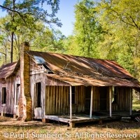 Ole Suwannee Ranch 2