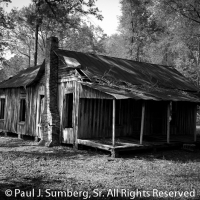 Ole Suwannee Ranch 4