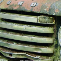 Found Off Road Dead