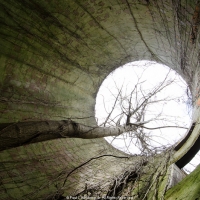 Life in the silo
