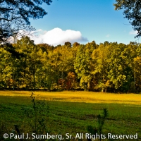 Autumn at Paynes