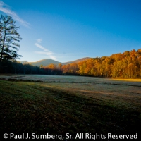 Early Winter Morning