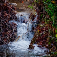 Paynes Creek Dam
