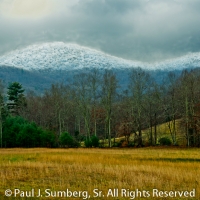 Winter Storm